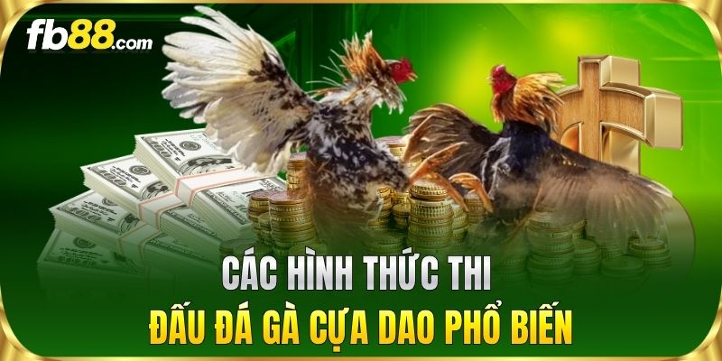 Các hình thức thi đấu Đá Gà Cựa Dao phổ biến