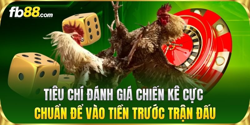 Tiêu chí đánh giá chiến kê cực chuẩn để vào tiền trước trận đấu