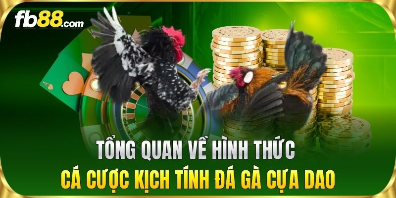 Tổng quan về hình thức cá cược kịch tính Đá Gà Cựa Dao