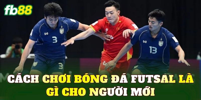 Cách chơi bóng đá Futsal là gì cho người mới
