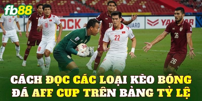 Cách đọc các loại kèo bóng đá AFF Cup trên bảng tỷ lệ