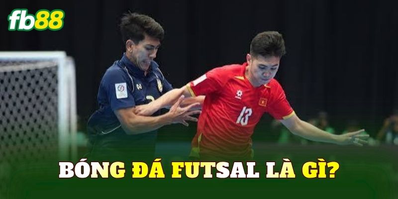Bóng đá Futsal là gì?
