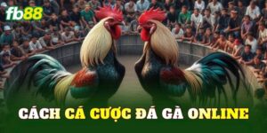 Cách Cá Cược Đá Gà Online
