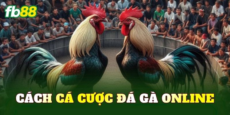 Cách Cá Cược Đá Gà Online