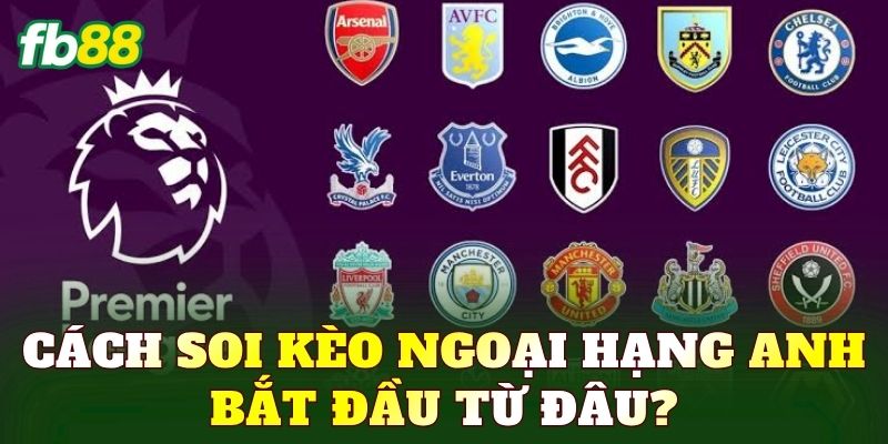 Cách soi kèo Ngoại hạng Anh bắt đầu từ đâu?