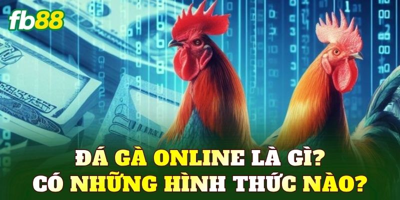 Đá gà online là gì? Có những hình thức nào?