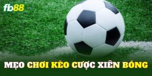 Mẹo Chơi Kèo Cược Xiên Bóng