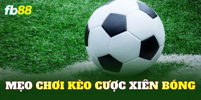 Mẹo Chơi Kèo Cược Xiên Bóng