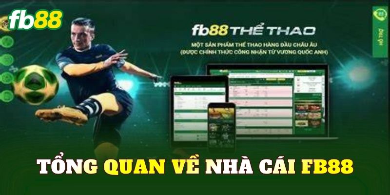 Tổng quan về nhà cái Fb88
